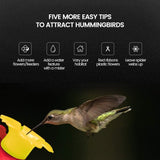 EJWOX Hummingbird Feeder with Hanging Wires-Easy Cleanup/Leakage Prevent for Outdoors(4 Pack,2.3 oz) - EJWOX Products Inc